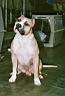 05 - Trouble sitting 2.jpg